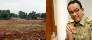 WhatsApp Image 2021-03-21 at 13.03.31