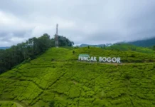 Tertinggi di Jawa Barat, Kunjungan Wisatawan Gerakkan Perekonomian Kabupaten Bogor