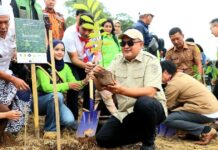 Komitmen Ketahanan Lingkungan, Bupati Bogor Percepat Tanam Pohon di Hutan Kota