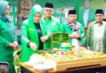 PPP Kabupaten Bogor Bangkit, Kader Lama Dirangkul, Akar Rumput Diperkuat