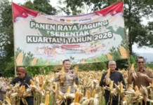 Dukungan Ketahanan Pangan Nasional, Pemkab dan Polres Bogor Panen Jagung 996 Ton