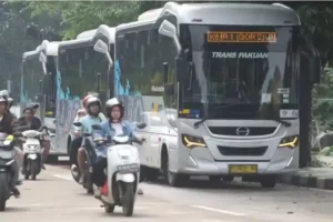 biskitaJPG-1142691363