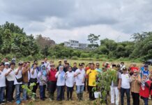 Program Hutan Kota Sukaraja Dimulai, 250 Pohon Ditanam di Cijujung