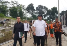 Bisnis Lahan Kavling di Zona Rawan Bencana Jadi Target Penindakan Pemkab Bogor