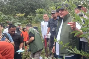 image_750x500_698410a303554