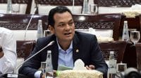 Anggota_Komisi_XI_DPR_RI__Martin_Manurung