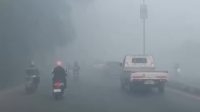 IMG-20260819-WA0058